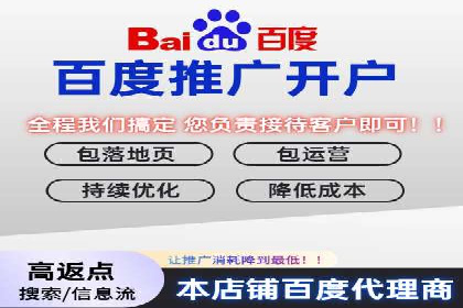 实战经验分享：SEO与SEM优化案例精选